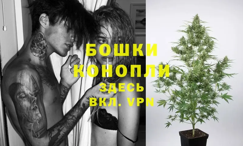 Каннабис OG Kush  как найти   Вилюйск 